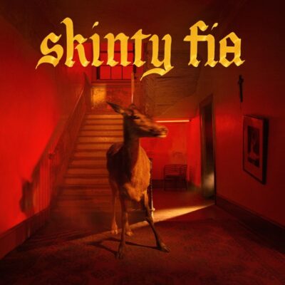 フォンテインズD.C.(Fontaines D.C.)おすすめ名盤『Skinty Fia』レビュー｜現代ポスト・パンク代表格のバンドが描いた、故郷アイルランドへの思い