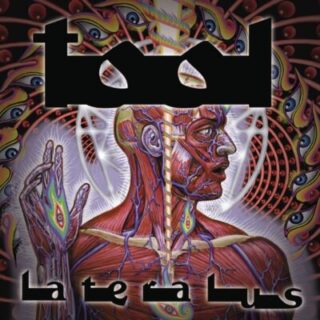 トゥール(Tool)おすすめ名盤『Lateralus』レビュー｜フィボナッチ数列で設計された歌詞と変拍子——プログレッシヴ・メタルの枠を超えた異形の大傑作を深掘り