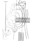 ガスター・デル・ソル(Gastr del Sol)おすすめ名盤『Camoufleur』レビュー｜ジム・オルーク最高傑作！アメリカーナ好きも必聴のポストロック/シカゴ音響派大傑作を掘り下げる