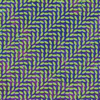 アニマル・コレクティブおすすめ名盤(Animal Collective)『Merriweather Post Pavilion』レビュー｜ピッチフォーク高得点！サイケなインディ・ポップ決定盤