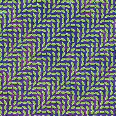 アニマル・コレクティブおすすめ名盤(Animal Collective)『Merriweather Post Pavilion』レビュー｜ピッチフォーク高得点！サイケなインディ・ポップ決定盤