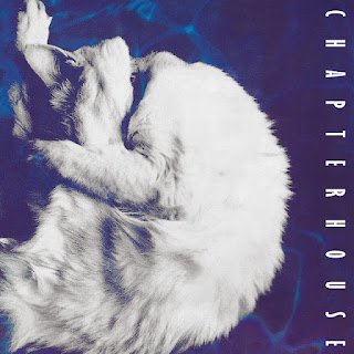 チャプターハウス(Chapterhouse)おすすめ名盤『Whirlpool』レビュー｜マイブラでもRideでもない「踊れる轟音」——シューゲイザーとマッドチェスターの交差点